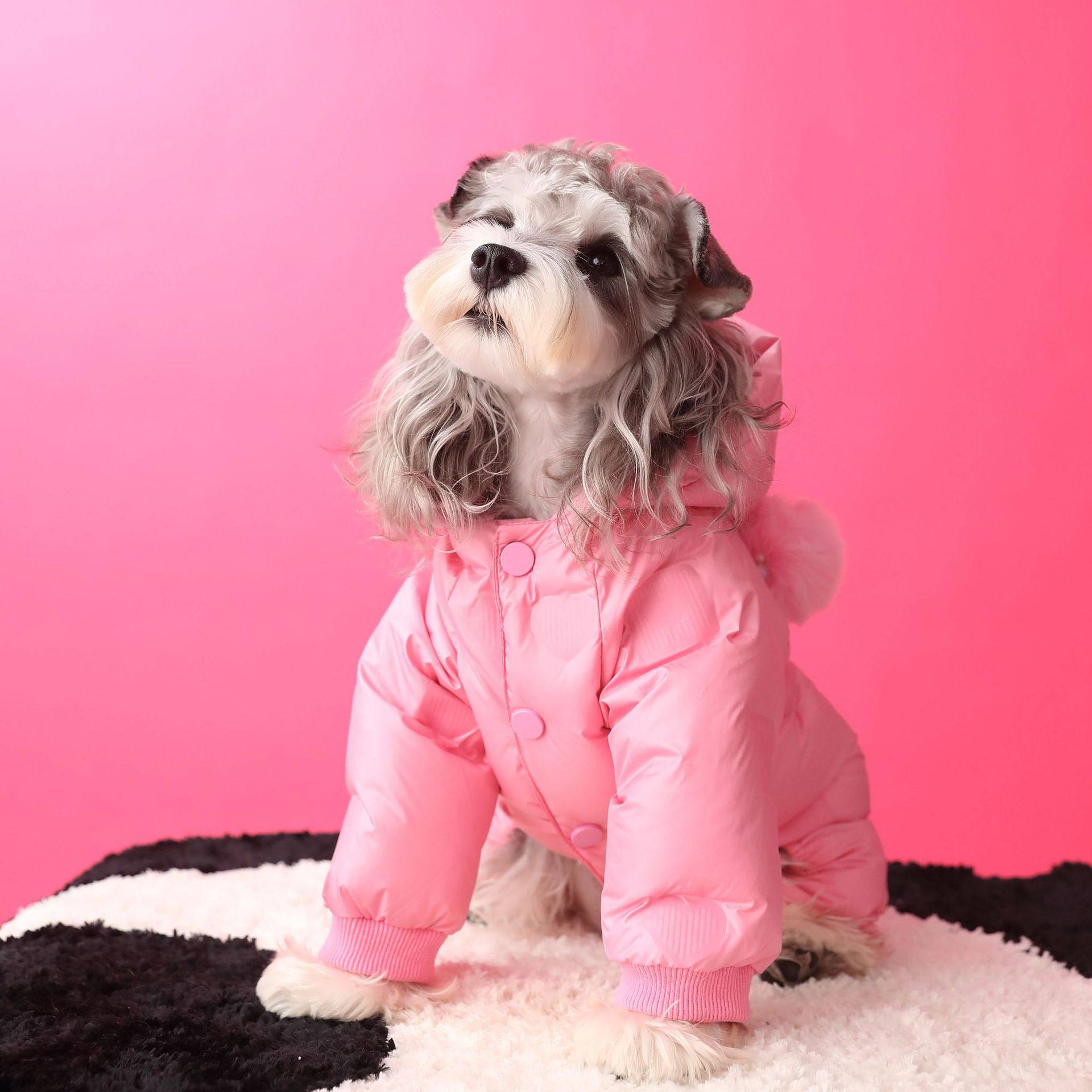 秋冬新款小狗狗衣服四脚羽绒服保暖雪纳瑞泰迪比熊博美柴犬小型犬