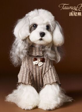狗狗衣服秋装泰迪雪纳瑞比熊马尔济斯约克夏博美腊肠蝴蝶结打底衫