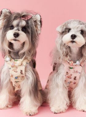 春夏装汤尼熊狗狗衣服泰迪比熊雪纳瑞马尔济斯约克夏小型犬背带裙