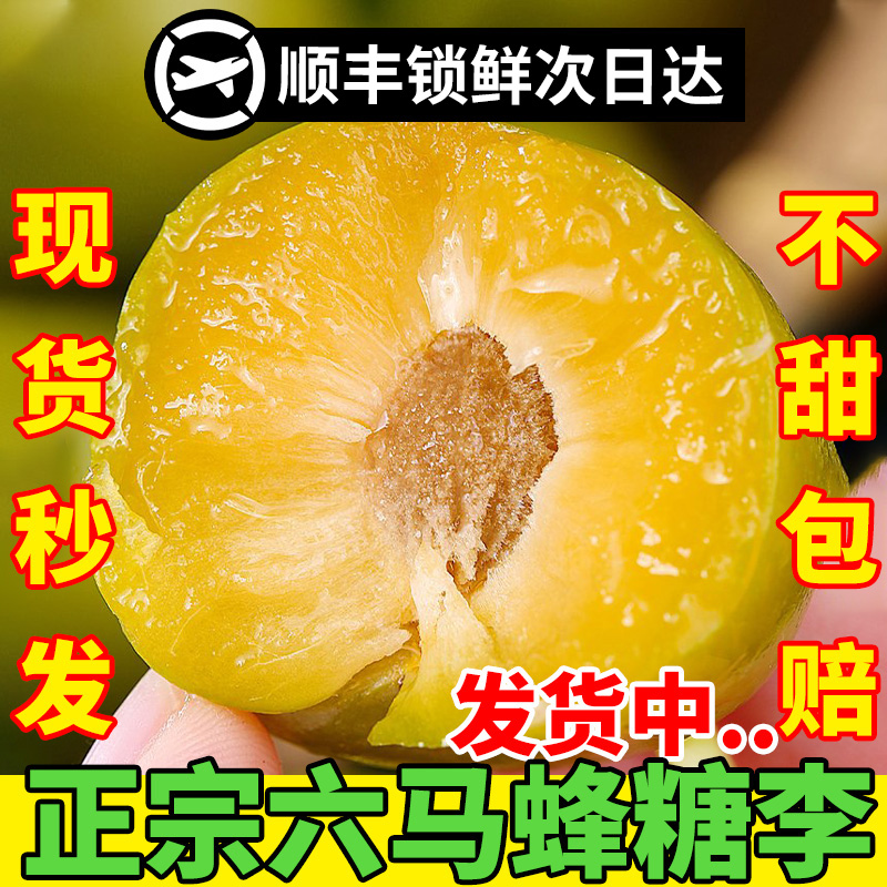 正宗贵州六马蜂糖李新鲜水果镇宁当季蜂蜜李子脱骨5斤礼盒旗舰店