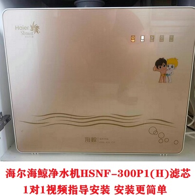 海尔净水机器滤芯HSNF-300P1H