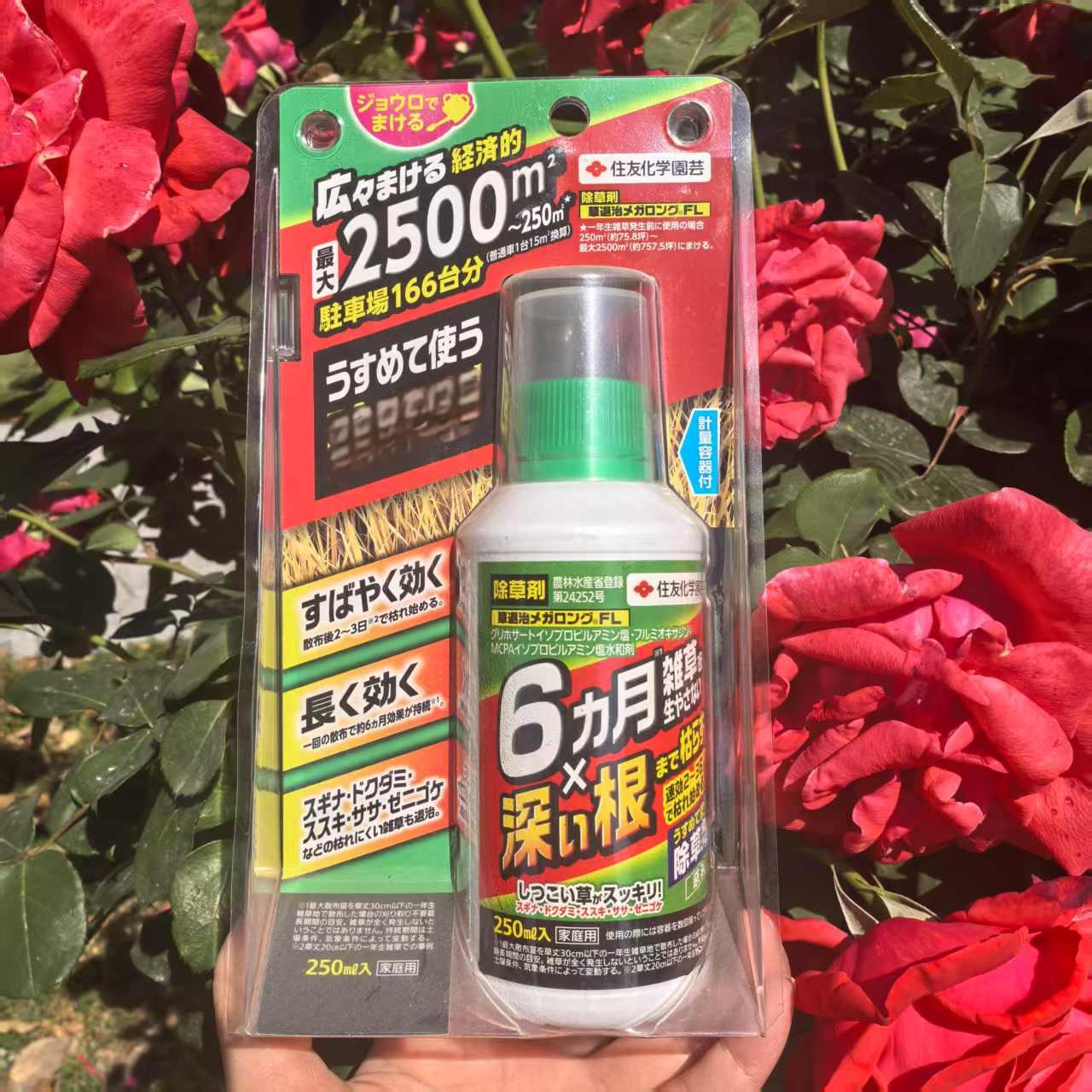 除草苔藓芒草野草除草苔藓