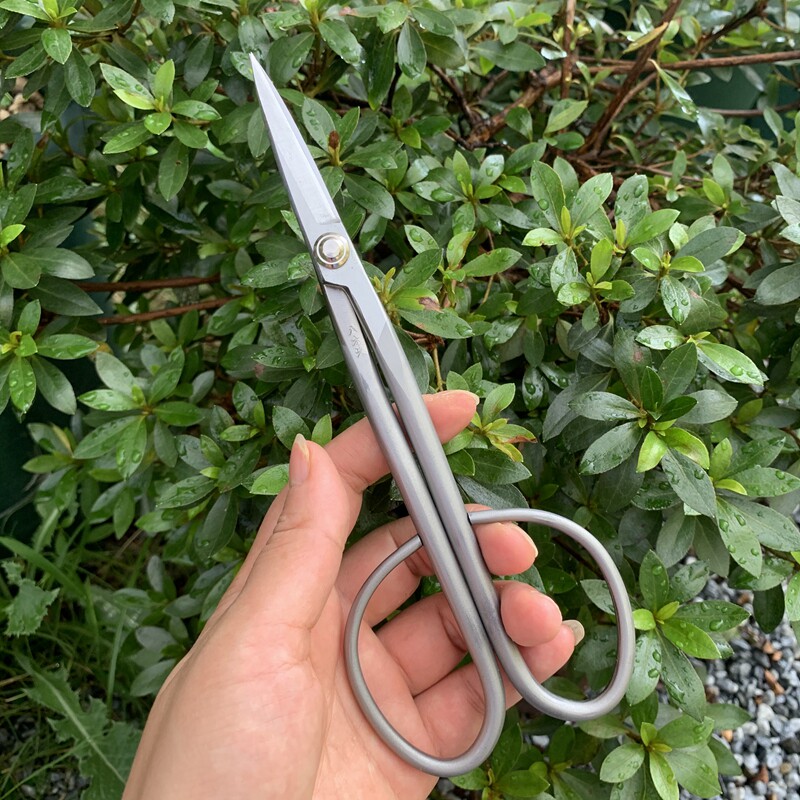 小蜜日本进口八木光芽剪枝剪盆景造型兰花分株菖蒲花卉绿植修剪刀