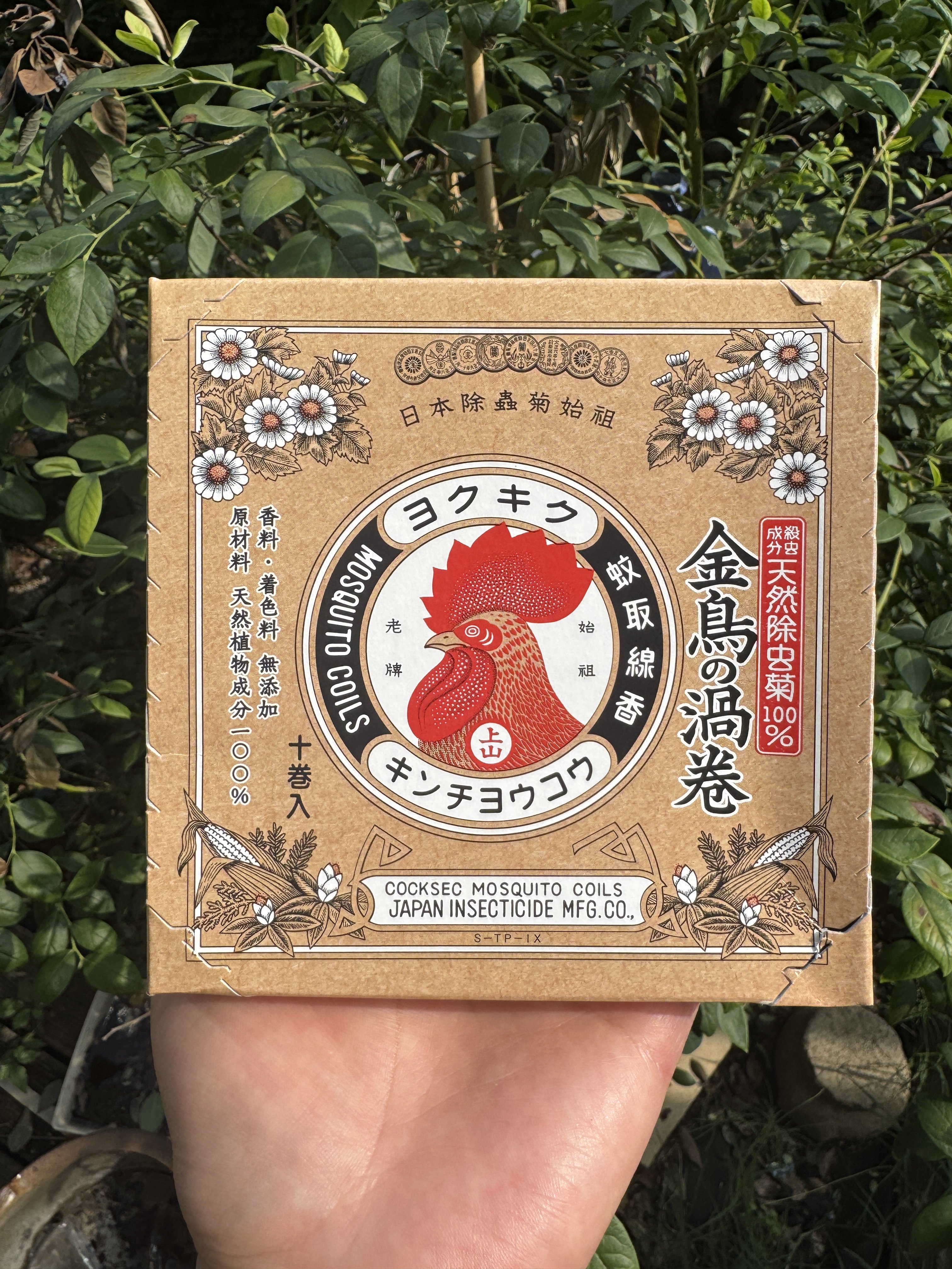 日本原装进口金鸟蚊香26年新品纯天然除虫无香料可燃七小时10卷