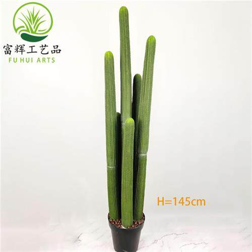 仿真仙人掌仙人棒仙人柱花盆栽假花套装组合家居装饰道具摆件