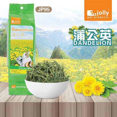 Jolly祖莉蒲公英草烘干草兔子龙猫零食调理龙猫饮食牧草50g