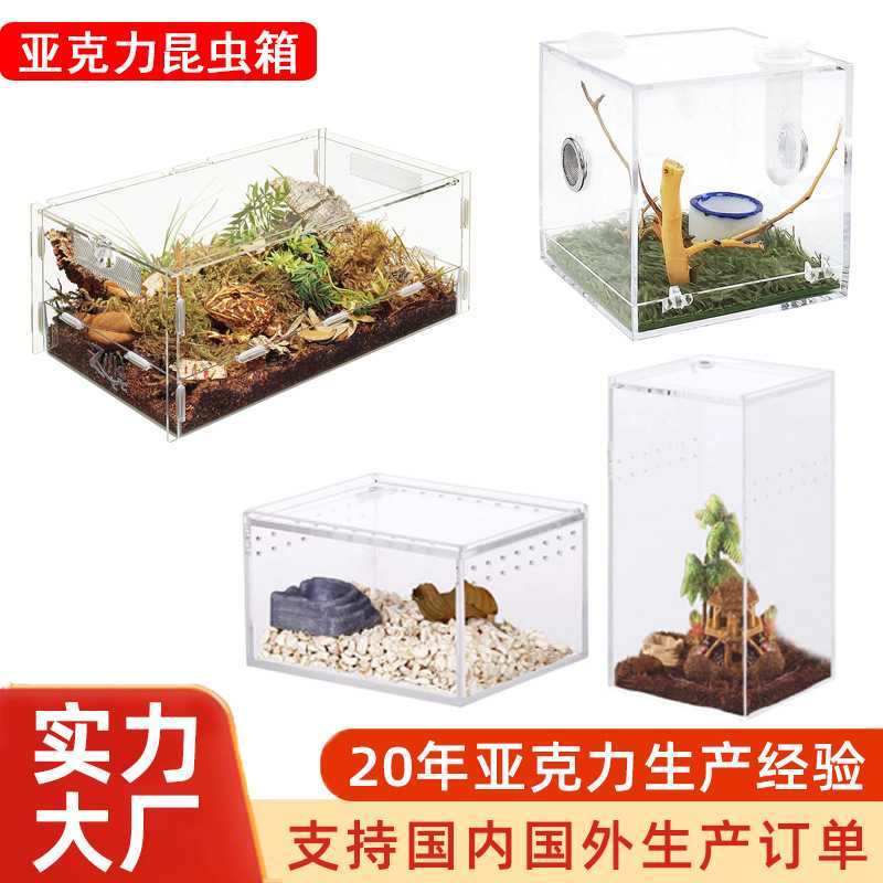 亚克力宠物爬虫蜘蛛蜥蜴蛇变色龙蝎子展示饲养造盒子景昆虫箱定制