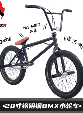 BMX小轮车20寸表演车特技动作极限单车自行车铬钼钢120响花鼓包邮