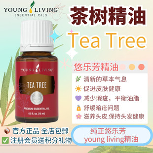 美国Young tree茶树单方精油純植物香薰按摩清洁 living悠乐芳tea