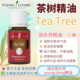 美国Young living悠乐芳tea tree茶树单方精油純植物香薰按摩清洁