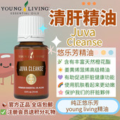 Young Living悠乐芳清肝精油舒缓复方按摩能量天然清洁肝脏净化好