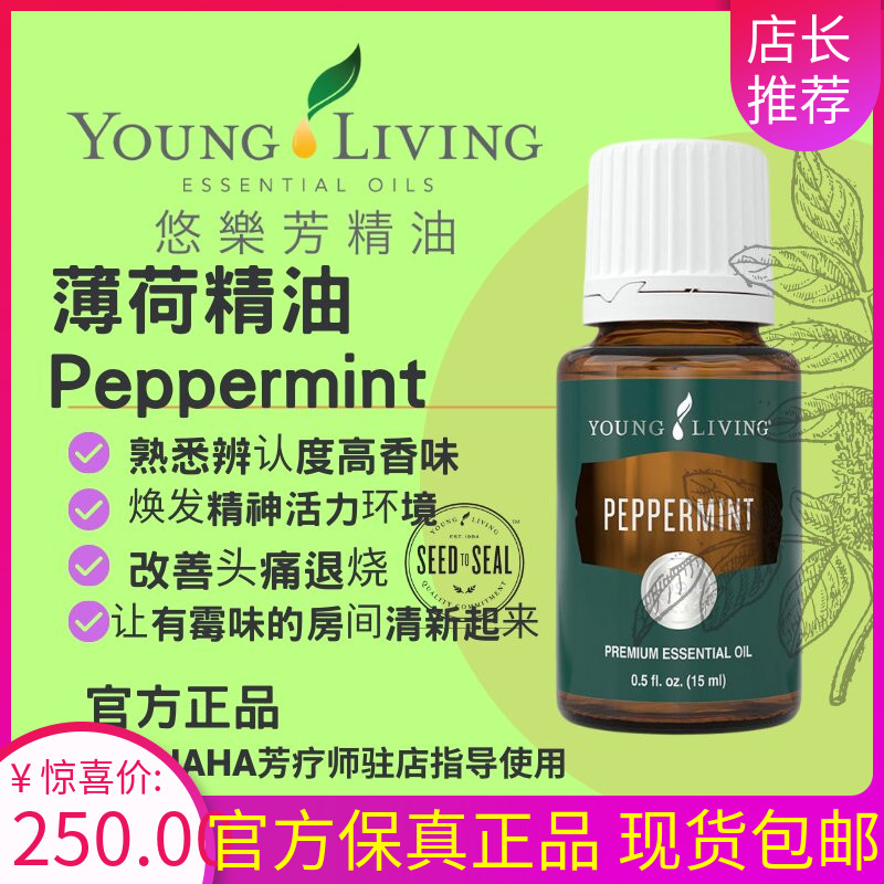 薄荷精油單方按摩香按摩精油舒緩