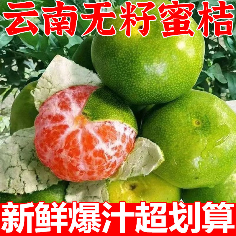 云南蜜橘桔子10斤早熟无籽新鲜橘子孕妇水果整箱当季青皮桔子柑橘 - 实物图
