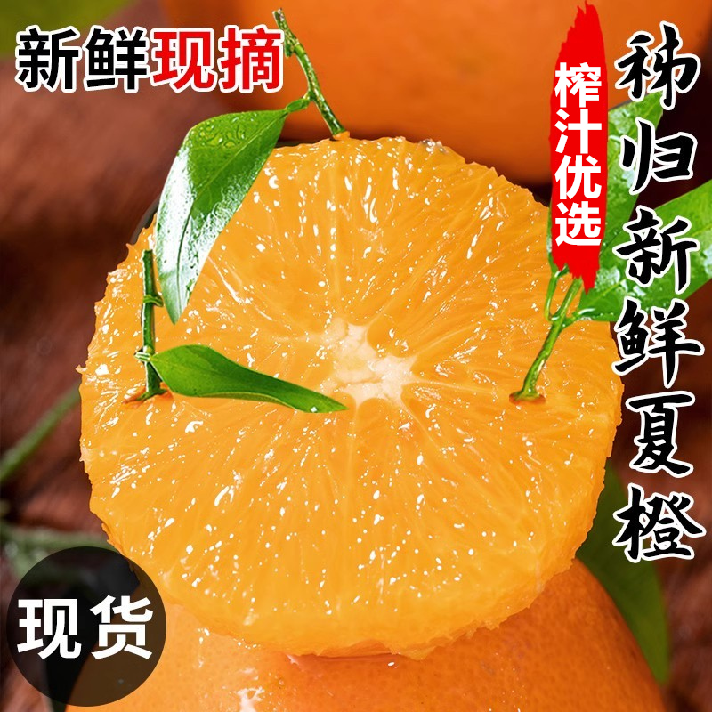 爆汁夏橙纯甜秭归脐橙伦晚橙子纽荷尔新鲜水果5斤9斤大果当季冰糖