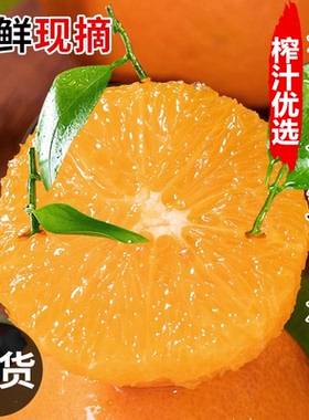 爆汁夏橙纯甜秭归脐橙伦晚橙子纽荷尔新鲜水果5斤9斤大果当季冰糖