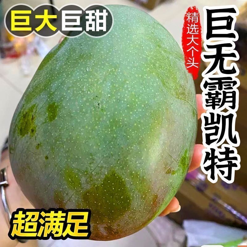 正宗凯特芒新鲜芒果当季大果澳芒青皮现摘甜心芒特产热带水果整箱