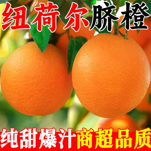 正宗纯甜纽荷尔脐橙9斤大果