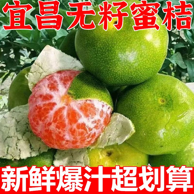 宜昌蜜橘桔子10斤早熟无籽新鲜橘子孕妇水果整箱当季青皮桔子柑橘