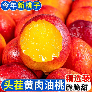 正宗油桃中油四号黄心油桃新鲜应季大桃子现摘水果水蜜脆桃汁整箱