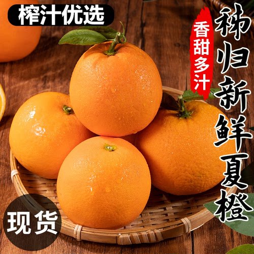 【9斤特大果29.8】爆汁秭归脐橙