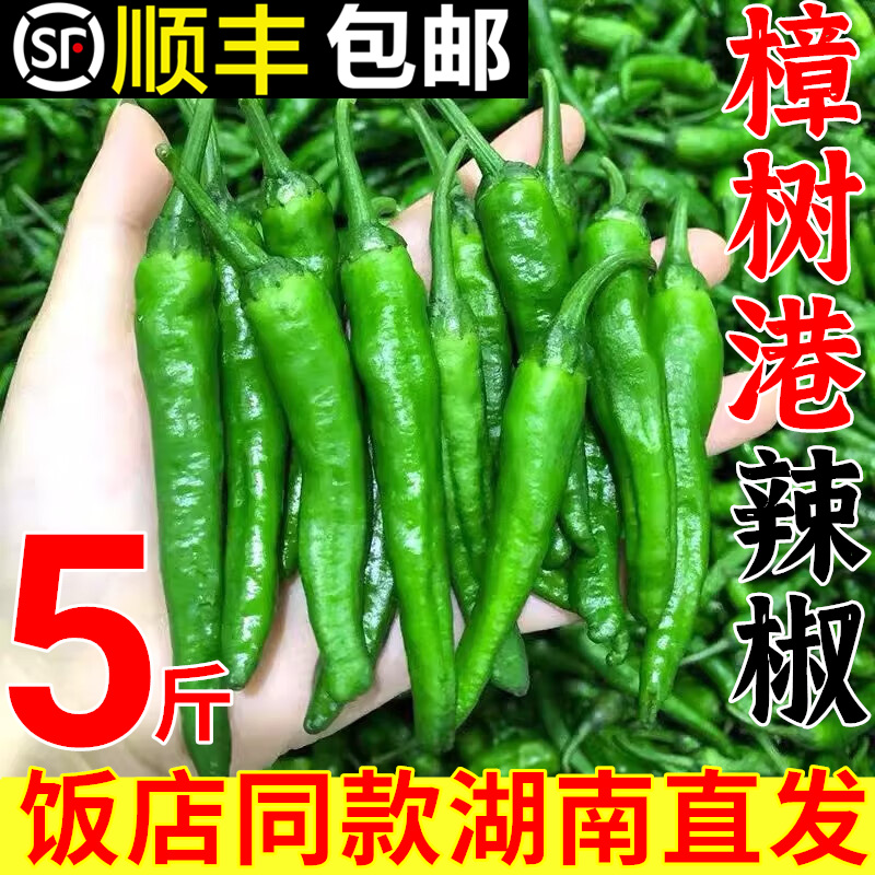 顺丰樟树港原种青辣椒新鲜5斤