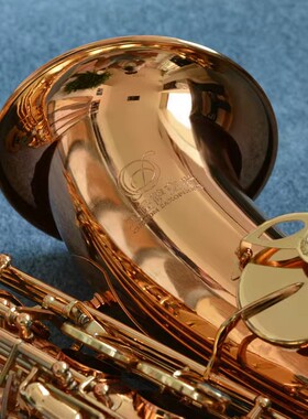 工匠TS100系列漆金镀银黑镍红色bB次中音萨克斯儿童老年成人通用