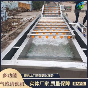 食品机械源头厂家直供 速冻豆角清洗设备 豆角毛豆清洗机