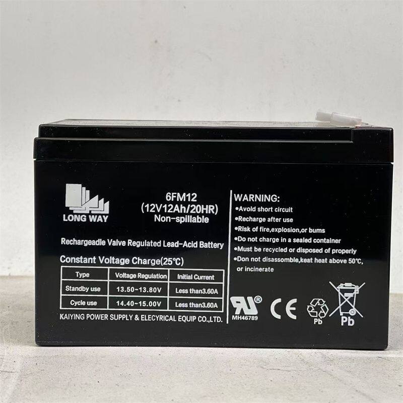 LONGWAY龙威6FM12蓄电池12V12AH