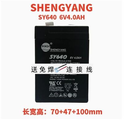 SHENGYANG晟阳蓄电池SY6456V4.