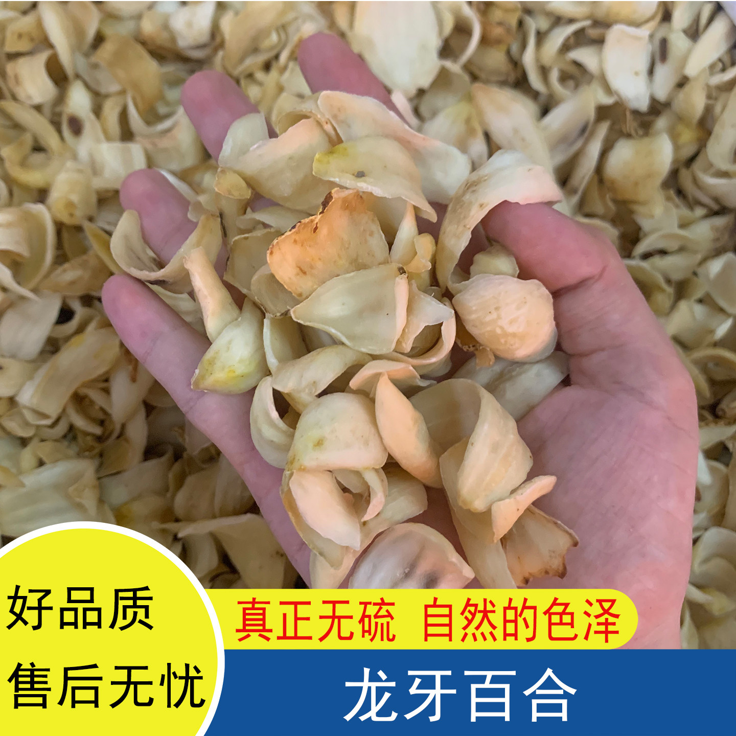 正宗龙牙百合干货无硫无添加煲汤熬粥甜糖水泡水泡茶散装自然晒干