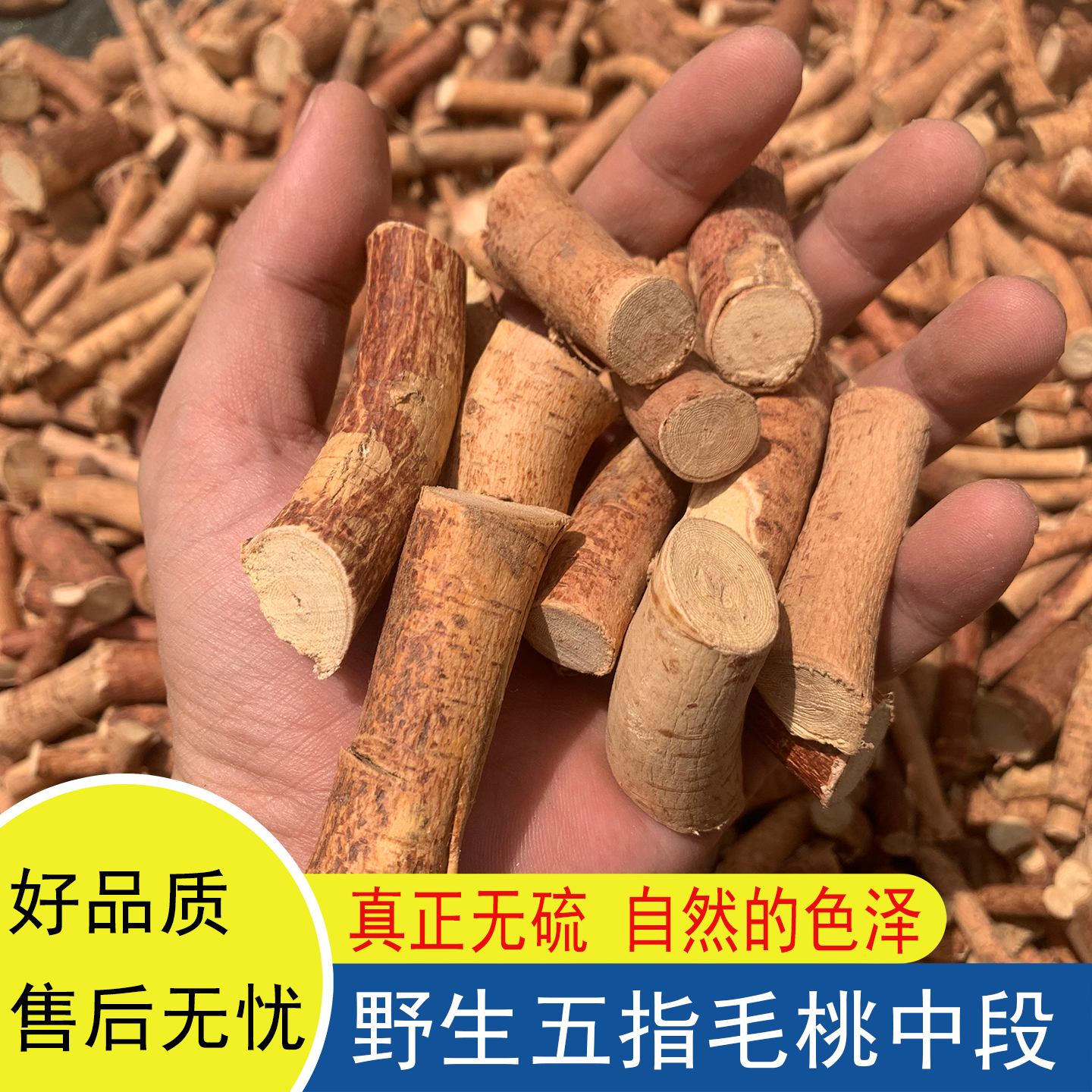 野生五指毛桃根广东汤料正宗新鲜干货五爪龙无硫新货中段五指牛奶
