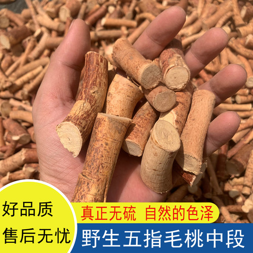 野生五指毛桃根广东汤料正宗新鲜干货五爪龙无硫新货中段五指牛奶