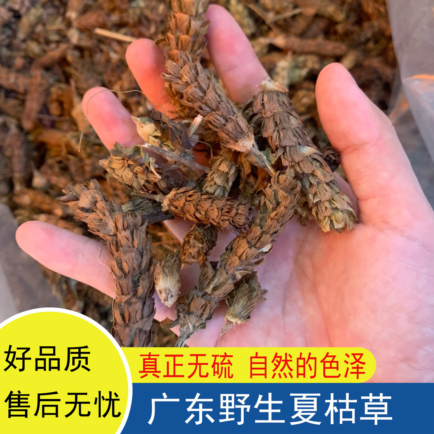 广东野生夏枯草夏枯球夏菇草夏谷草夏姑草自然无硫无添加干货泡水
