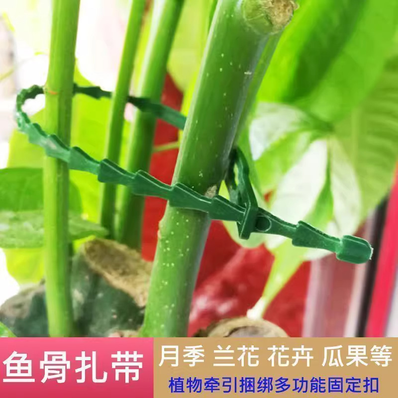 多用途鱼骨刺绿色园林绑扎带