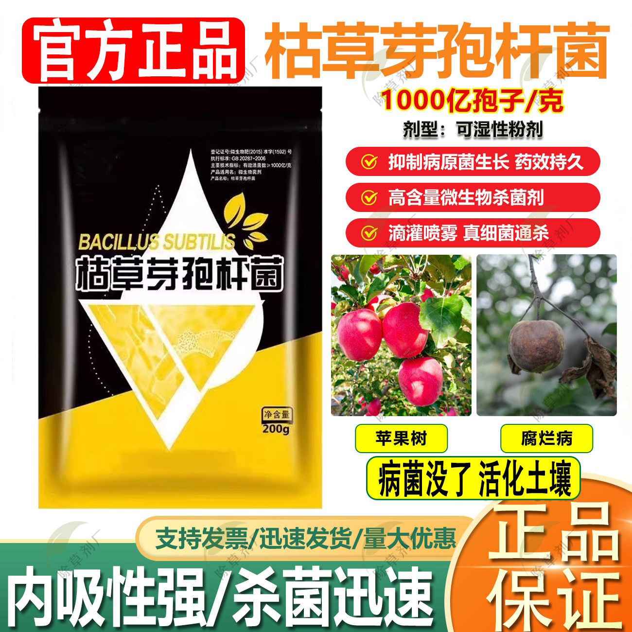 新款枯草芽孢菌杆菌农用微生物菌肥枯草杆菌菌剂菌肥菌种防病肥料