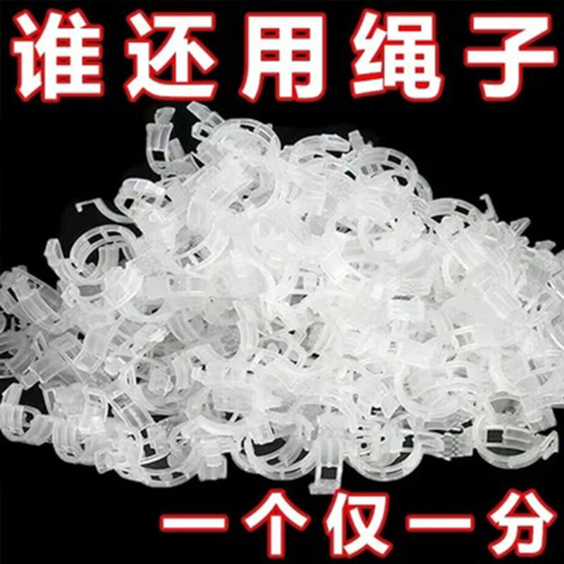 藤蔓固定夹植物支架爬藤固定神器黄瓜架卡扣绿植藤蔓夹移苗绑枝夹图片