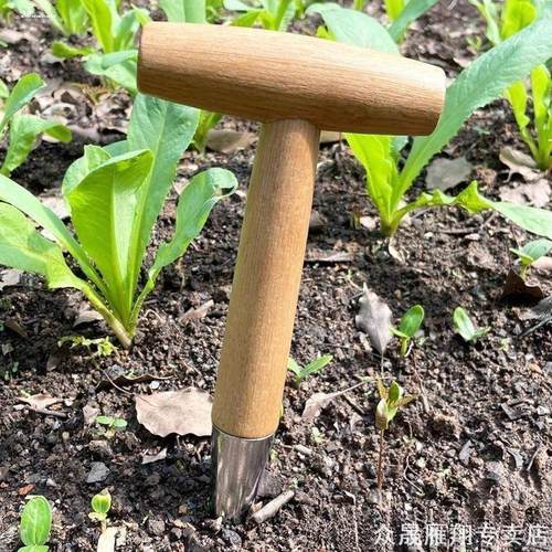 家庭园艺农业施肥打孔器播种打洞小工具移栽打孔器种菜花籽