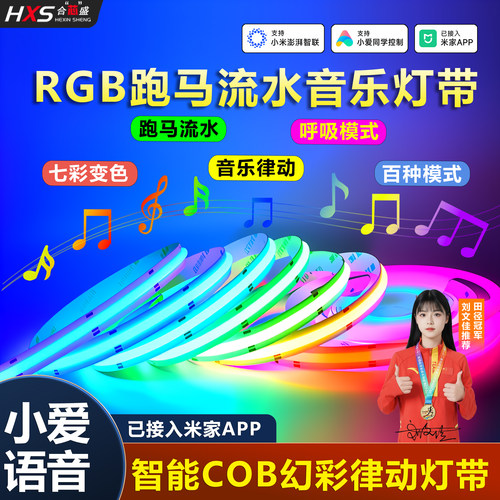 RGB智能幻彩律动跑马氛围灯带