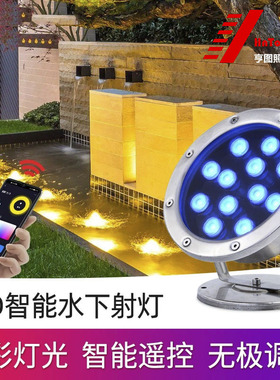 LED涂鸦智能水下灯炫彩灯WIFI无极调光河边水池APP遥控24V喷泉灯