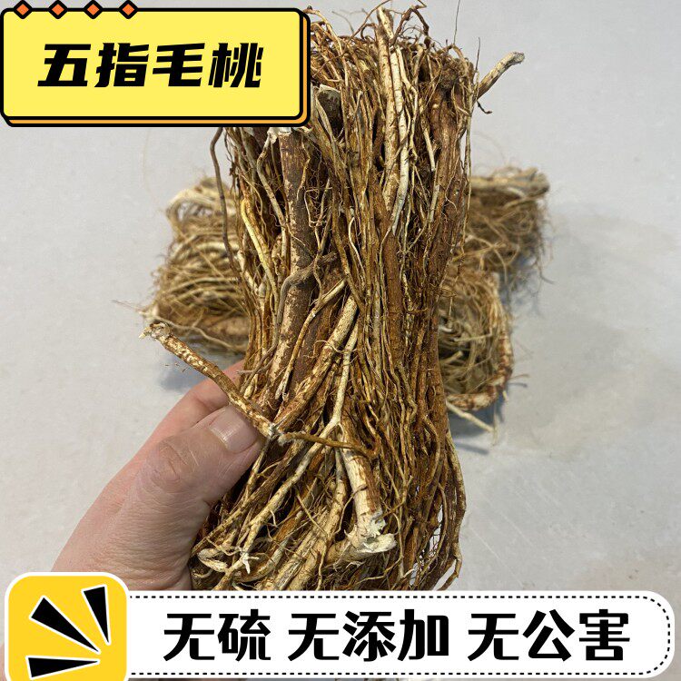 福建农产品炖煲汤五指毛桃中药材