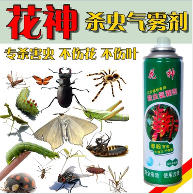 花卉杀虫喷雾剂植物盆栽蚜虫小飞虫护花神甲虫室内草虫花药庭院
