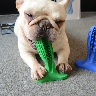 toothbrush狗狗磨牙棒宠物用品咬球玩具法斗巴哥泰迪金毛玩具 DOG