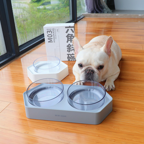 小型狗喂食器价格 小型狗喂食器图片 星期三
