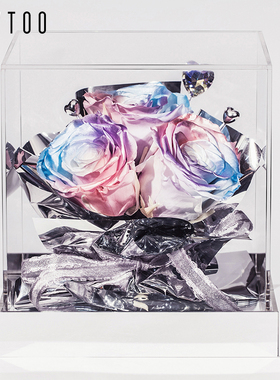 永生花极光玫瑰干花康乃馨花束生日礼物新婚情人节送女朋友摆件