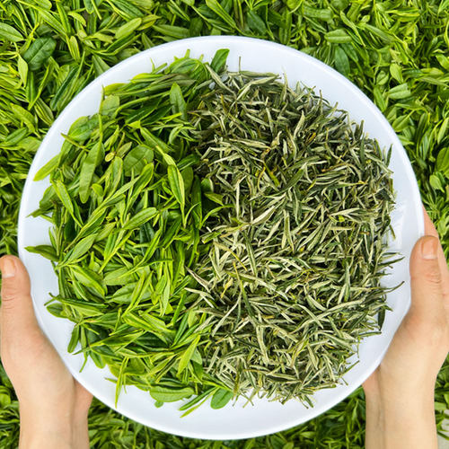 安徽毛峰绿茶2025新茶散装口粮茶