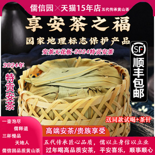 【2024特贡】孙义顺祁门安茶非遗制作老六安茶厂高山贡茗黑茶叶