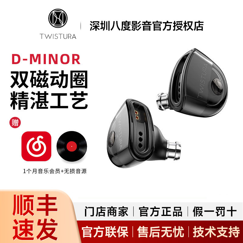 Twistura逆转未来HiFi耳机D-MAJOR D大调入耳式动圈有线耳机 小调 - 实物图