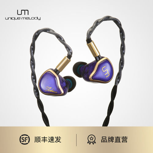 UM Mest系列Fortune 三重骨传导全频均衡HiFi有线入耳式耳机