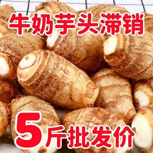 https://item.taobao.com/item.htm?id=1034472679478