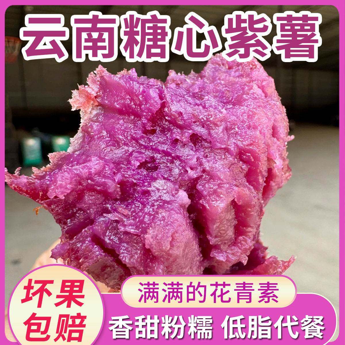 云南紫薯新鲜现挖农家自种粉糯香甜粗粮代餐地瓜